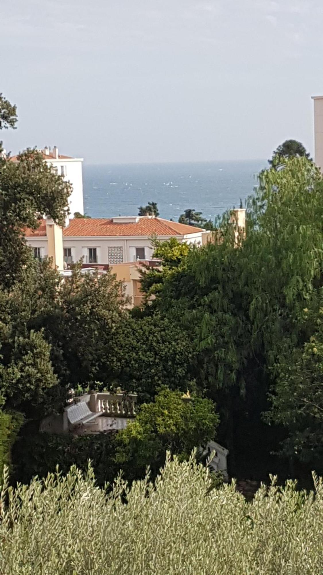 Les Palmiers A 700M De La Mer Niza Habitación foto
