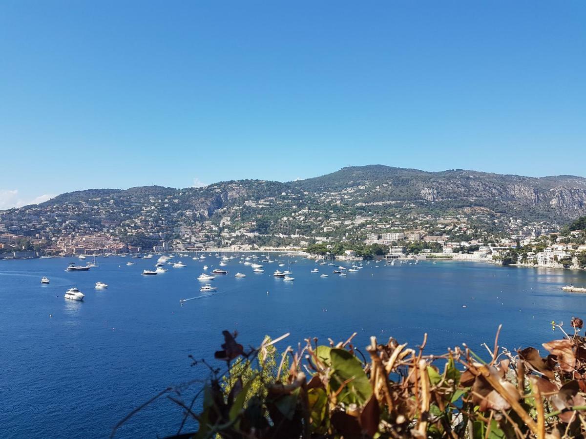 Les Palmiers A 700M De La Mer Niza Exterior foto