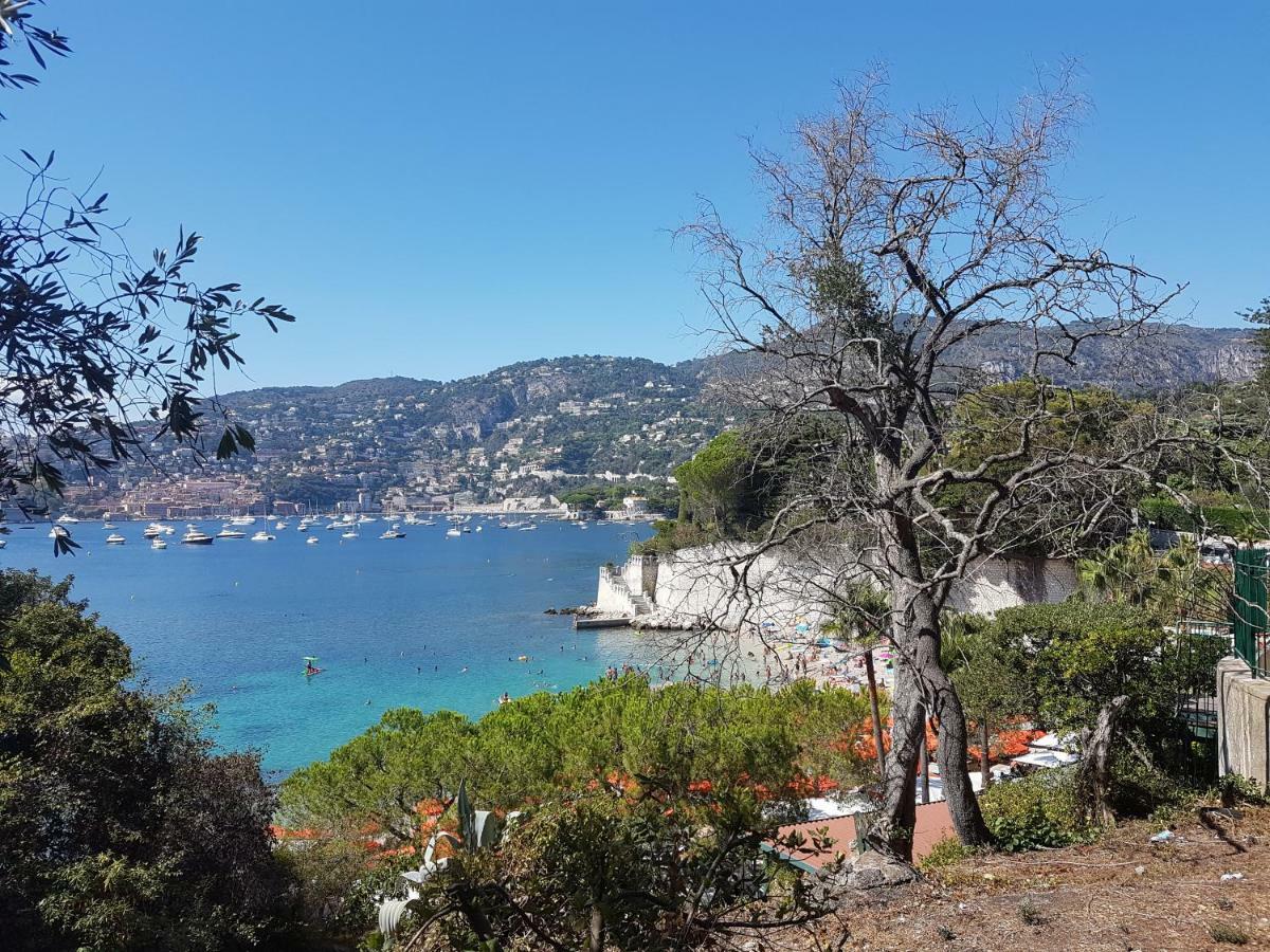 Les Palmiers A 700M De La Mer Niza Exterior foto
