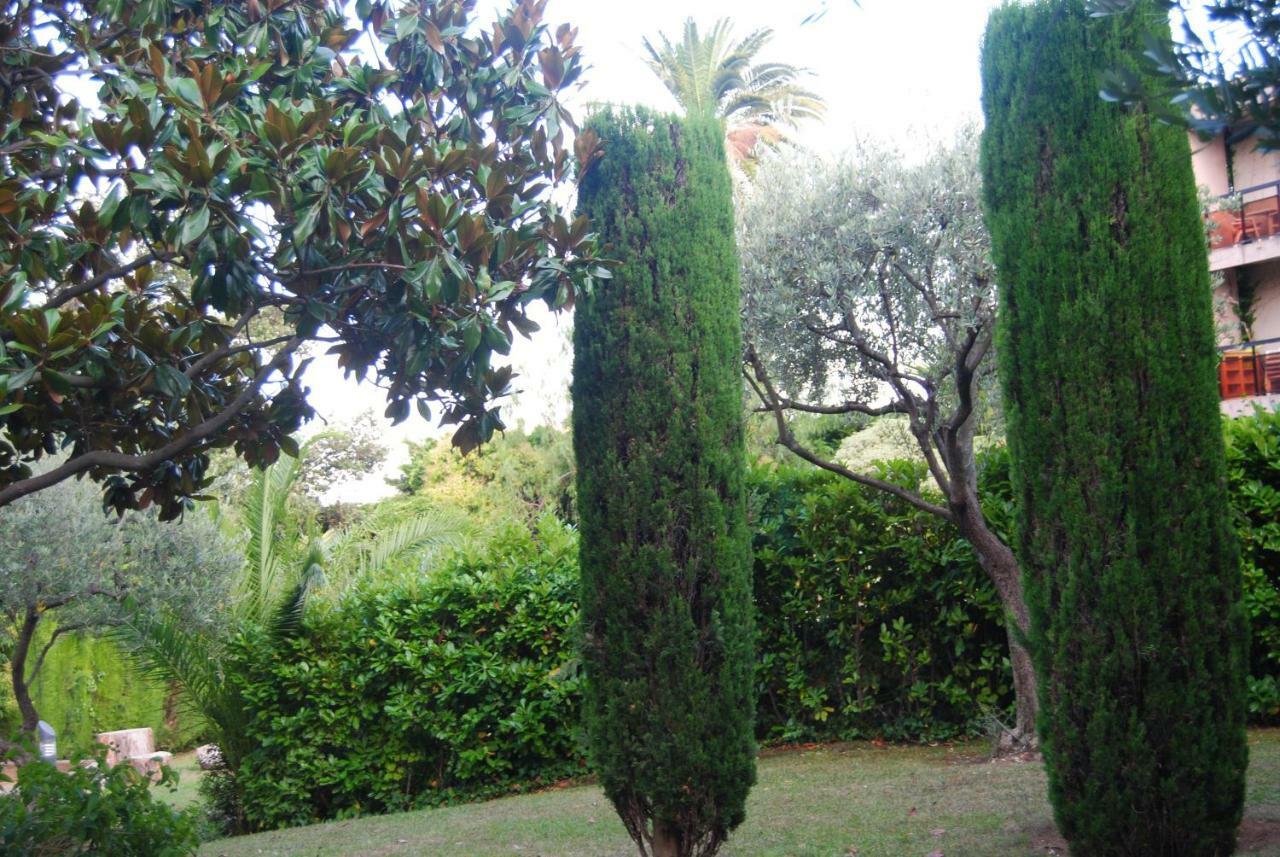 Les Palmiers A 700M De La Mer Niza Exterior foto